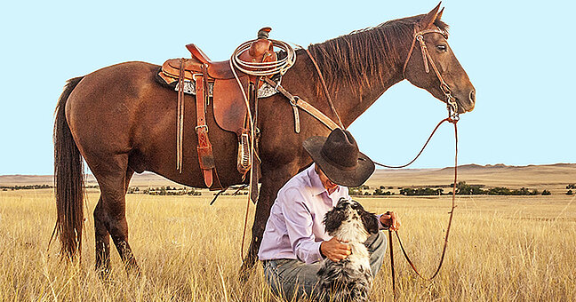 Cowboy mit Pferd und Hund